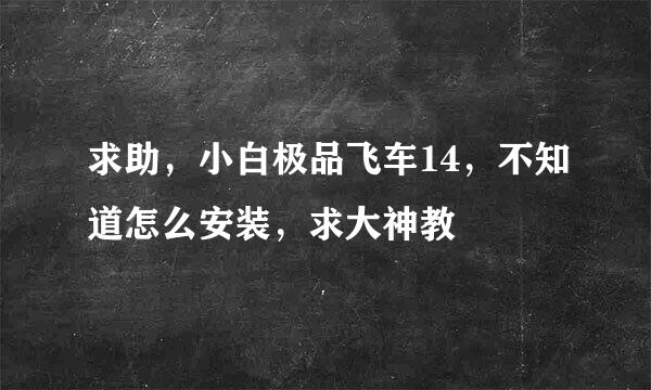 求助，小白极品飞车14，不知道怎么安装，求大神教