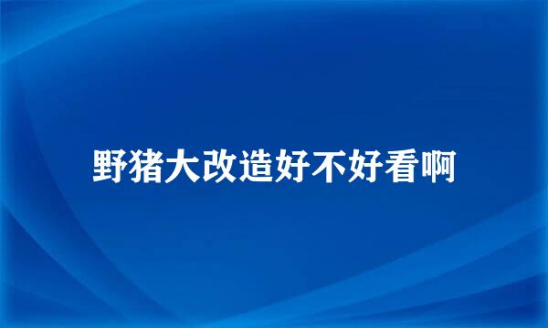 野猪大改造好不好看啊