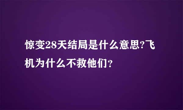 惊变28天结局是什么意思?飞机为什么不救他们？