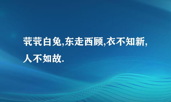 茕茕白兔,东走西顾,衣不知新,人不如故.