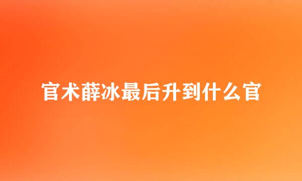 官术薛冰最后升到什么官