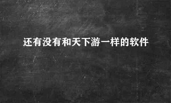 还有没有和天下游一样的软件