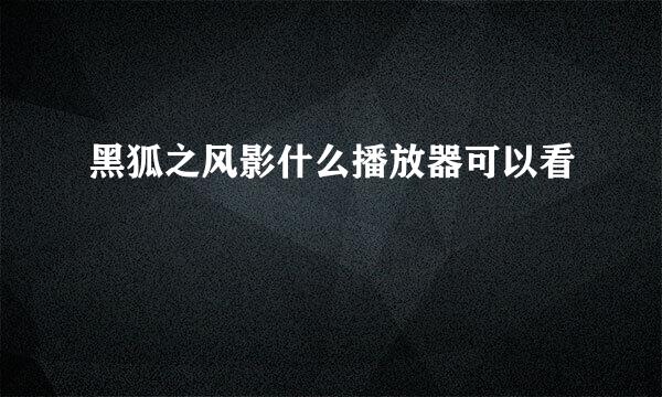 黑狐之风影什么播放器可以看