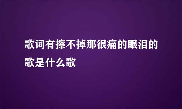 歌词有擦不掉那很痛的眼泪的歌是什么歌