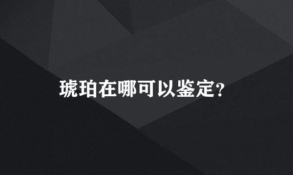 琥珀在哪可以鉴定？