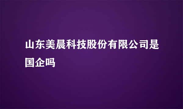 山东美晨科技股份有限公司是国企吗