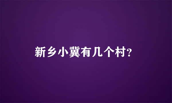 新乡小冀有几个村？