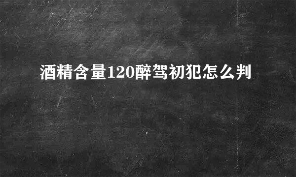 酒精含量120醉驾初犯怎么判