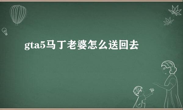 gta5马丁老婆怎么送回去