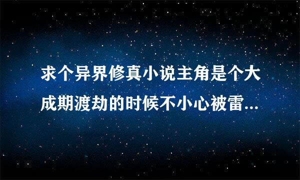 求个异界修真小说主角是个大成期渡劫的时候不小心被雷劈到异界去了。。。。。。。。，