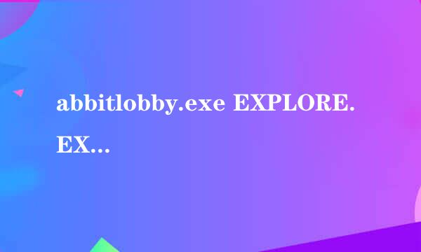 abbitlobby.exe EXPLORE.EXE 是什么进程？内存使用率很高的。