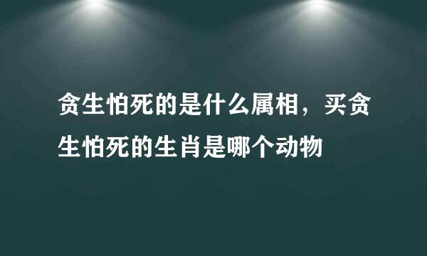 贪生怕死的是什么属相，买贪生怕死的生肖是哪个动物