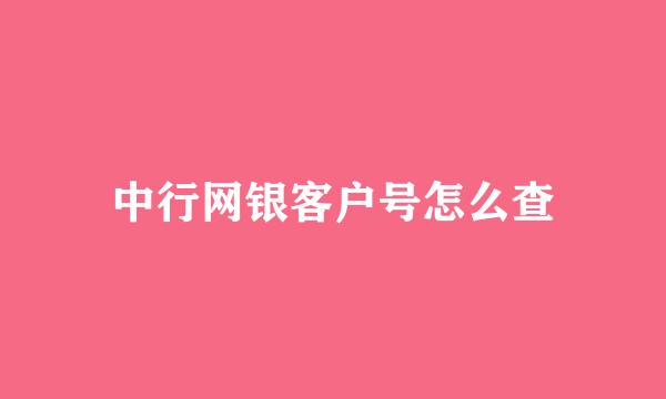 中行网银客户号怎么查