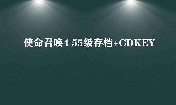 使命召唤4 55级存档+CDKEY