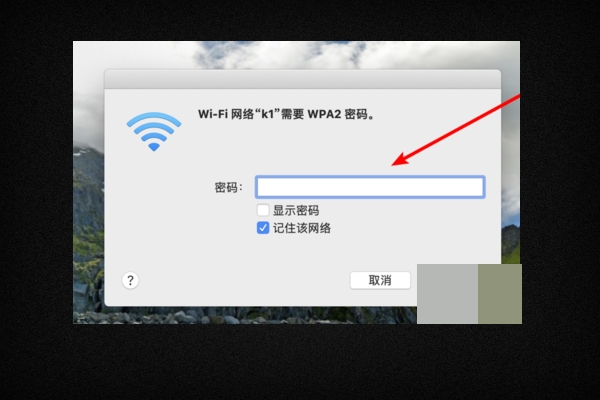 手机连接着WI-Fi，可以再连接电脑上网吗？