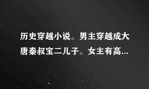 历史穿越小说。男主穿越成大唐秦叔宝二儿子。女主有高阳。武媚娘。。。