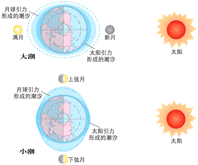 地球上出现的潮汐是由于