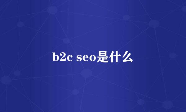 b2c seo是什么