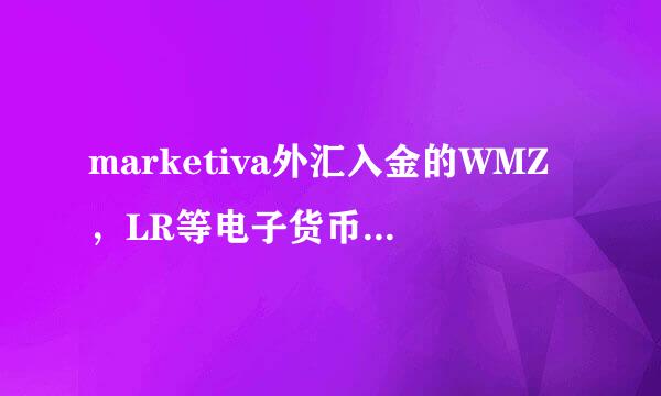 marketiva外汇入金的WMZ，LR等电子货币是什么？