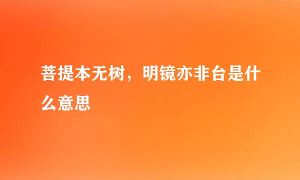 菩提本无树，明镜亦非台是什么意思