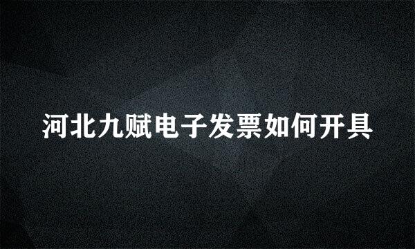 河北九赋电子发票如何开具