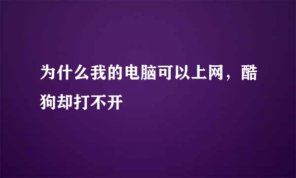 为什么我的电脑可以上网，酷狗却打不开