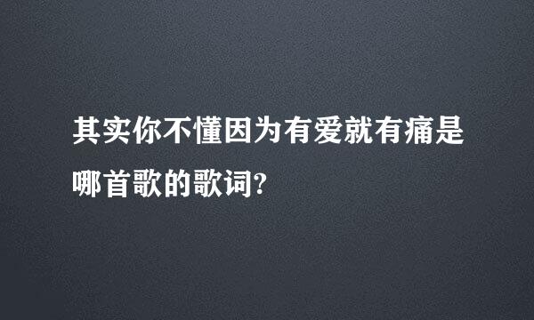 其实你不懂因为有爱就有痛是哪首歌的歌词?