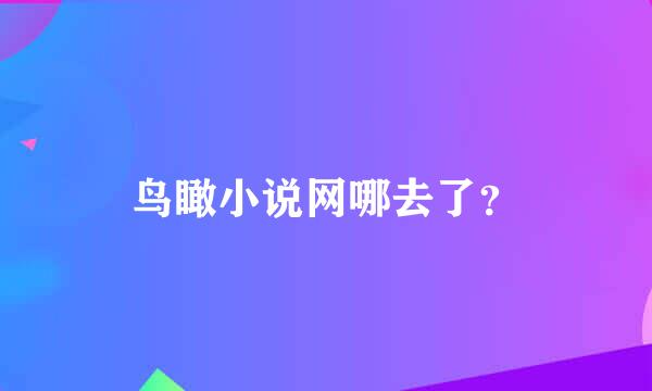 鸟瞰小说网哪去了？