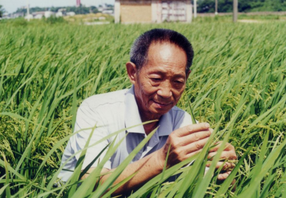 湖南卫视播放电影《袁隆平》创收视新高，剧中有哪些细思极恐的细节？