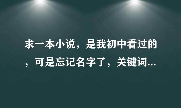 求一本小说，是我初中看过的，可是忘记名字了，关键词:男女主有龙凤胎，男主后来被篡改了记忆，谢谢你们