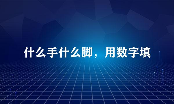 什么手什么脚，用数字填