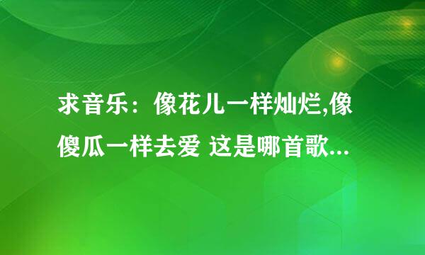 求音乐：像花儿一样灿烂,像傻瓜一样去爱 这是哪首歌里面的歌词？