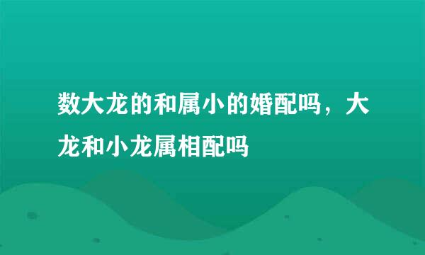 数大龙的和属小的婚配吗，大龙和小龙属相配吗