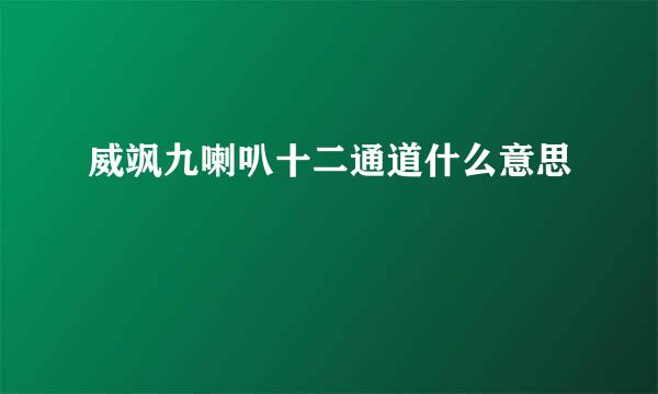 威飒九喇叭十二通道什么意思