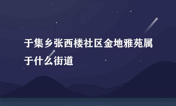 于集乡张西楼社区金地雅苑属于什么街道