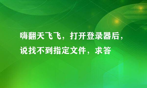 嗨翻天飞飞，打开登录器后，说找不到指定文件，求答