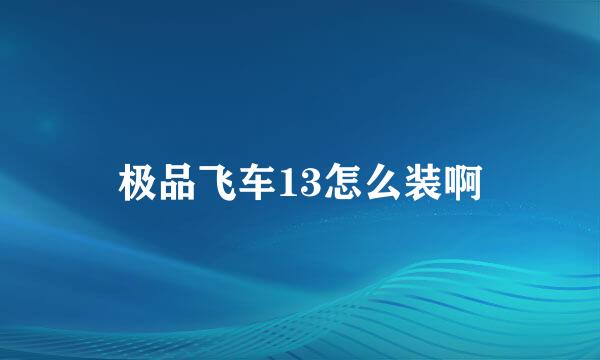 极品飞车13怎么装啊