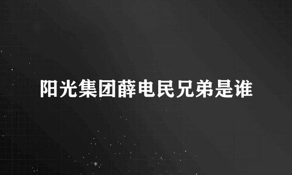 阳光集团薛电民兄弟是谁