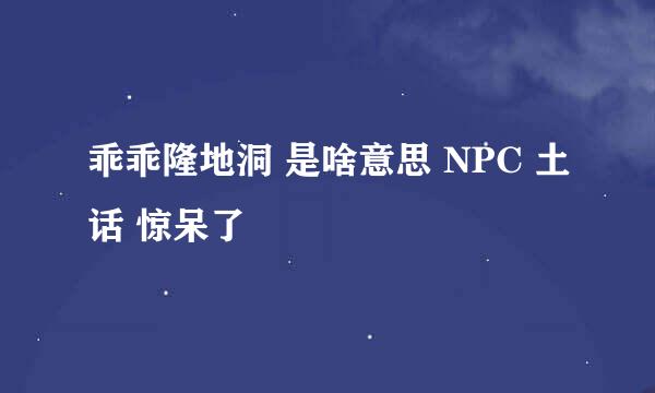 乖乖隆地洞 是啥意思 NPC 土话 惊呆了