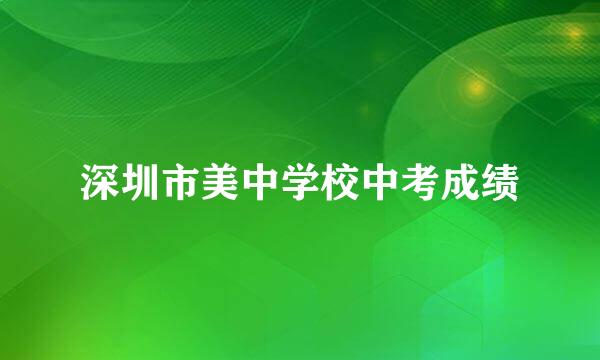 深圳市美中学校中考成绩