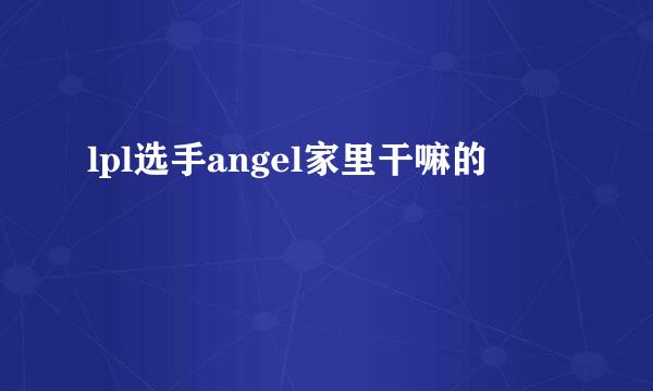 lpl选手angel家里干嘛的