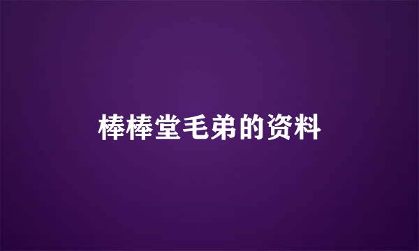 棒棒堂毛弟的资料