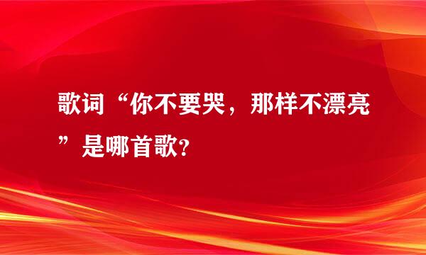 歌词“你不要哭，那样不漂亮”是哪首歌？