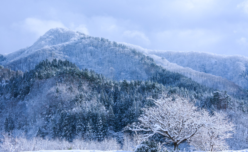 关于赞美雪的诗句有哪些