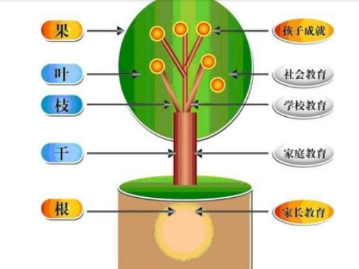 姑娘今年初中一年级，性格很叛逆，家长老师的都不听怎么办呢？