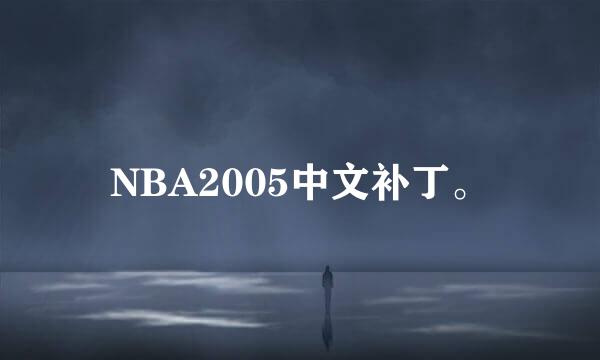 NBA2005中文补丁。