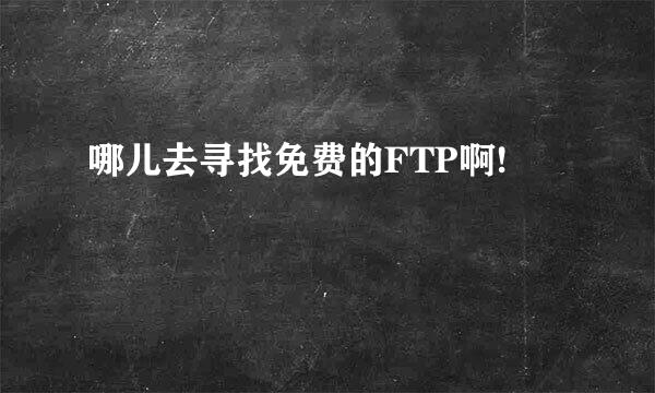 哪儿去寻找免费的FTP啊!