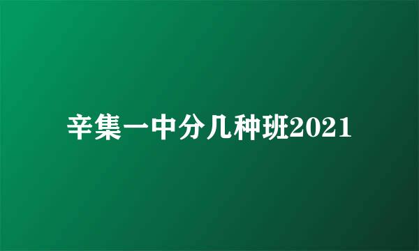 辛集一中分几种班2021