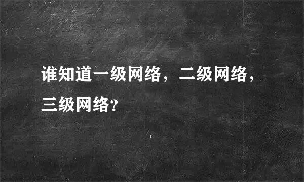 谁知道一级网络，二级网络，三级网络？