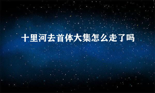 十里河去首体大集怎么走了吗